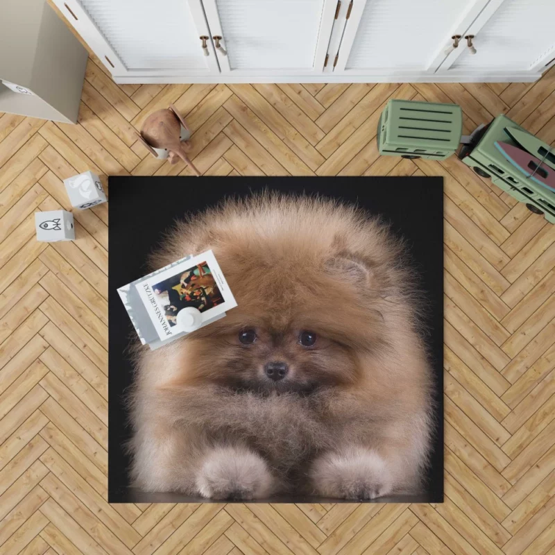 Spitz Puppy Fluffy Appeal Puppy Love Rug