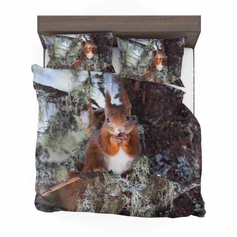 Squirrel Curious Essence Rodent World Bedding Set 1