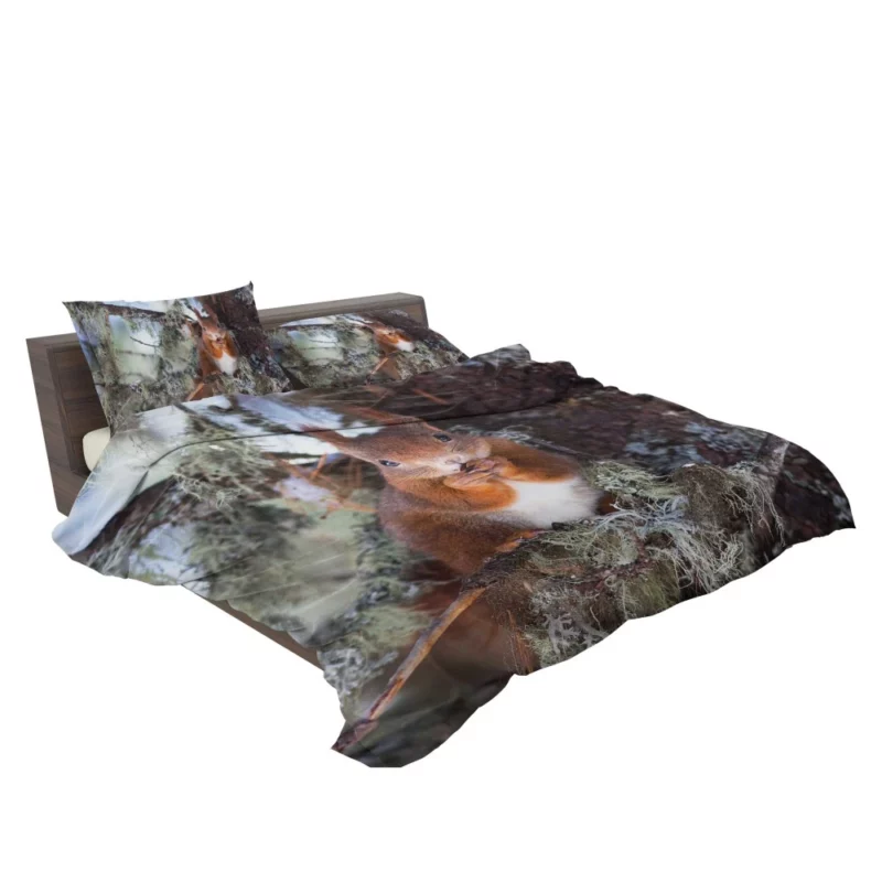 Squirrel Curious Essence Rodent World Bedding Set 2