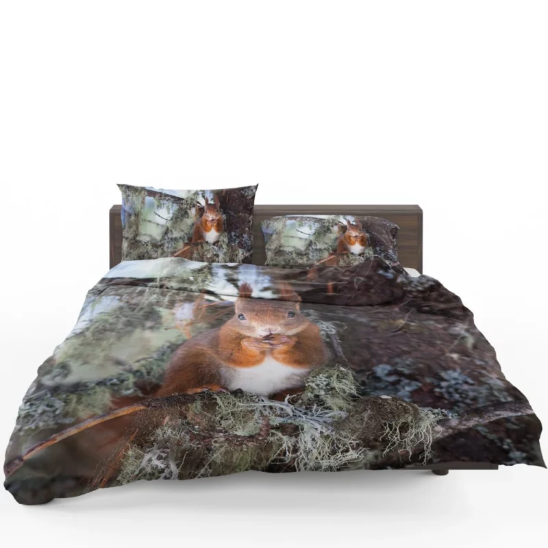 Squirrel Curious Essence Rodent World Bedding Set