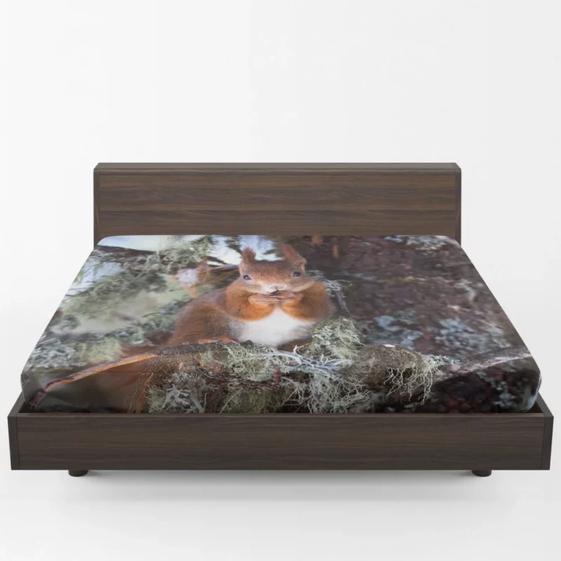 Squirrel Curious Essence Rodent World Fitted Sheet