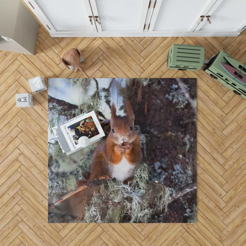 Squirrel Curious Essence Rodent World Rug