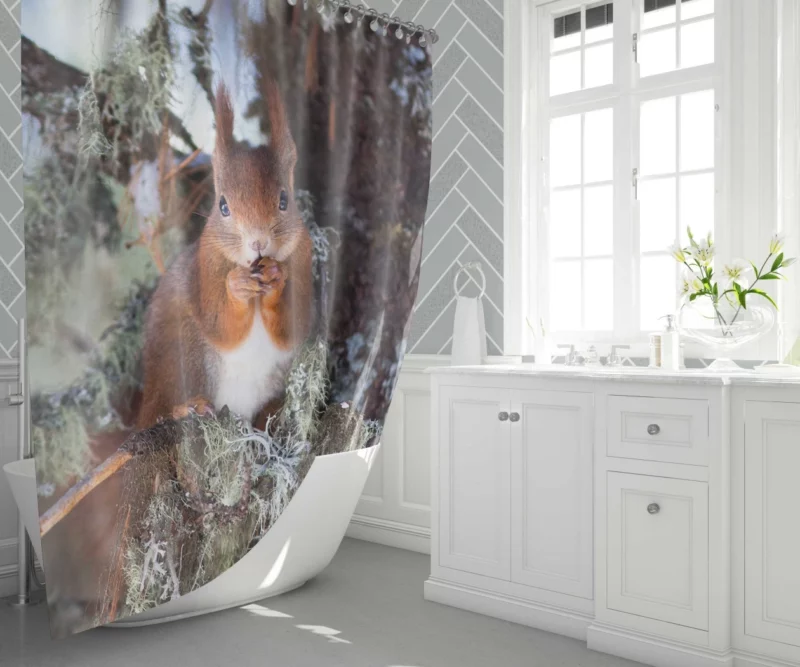 Squirrel Curious Essence Rodent World Shower Curtain 1