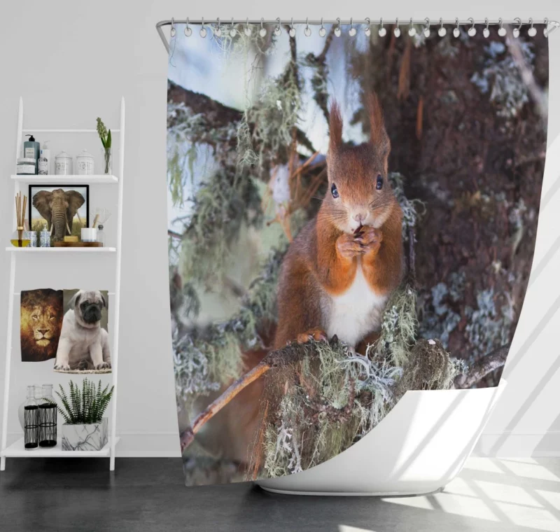 Squirrel Curious Essence Rodent World Shower Curtain