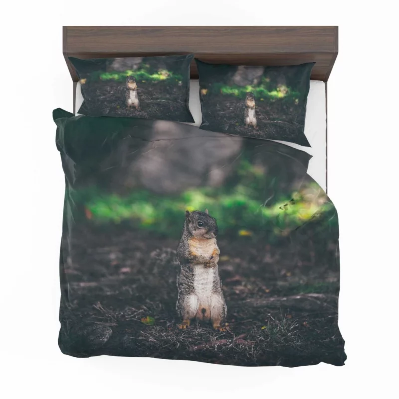 Squirrel Curious Rodent Nature Bedding Set 1