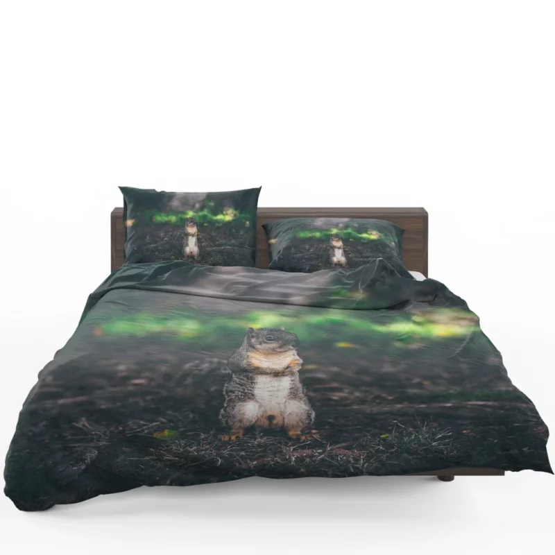 Squirrel Curious Rodent Nature Bedding Set