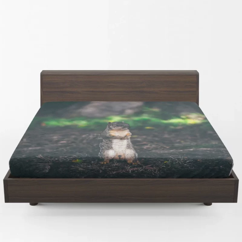 Squirrel Curious Rodent Nature Fitted Sheet