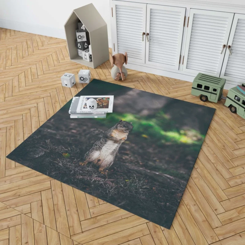 Squirrel Curious Rodent Nature Rug 1