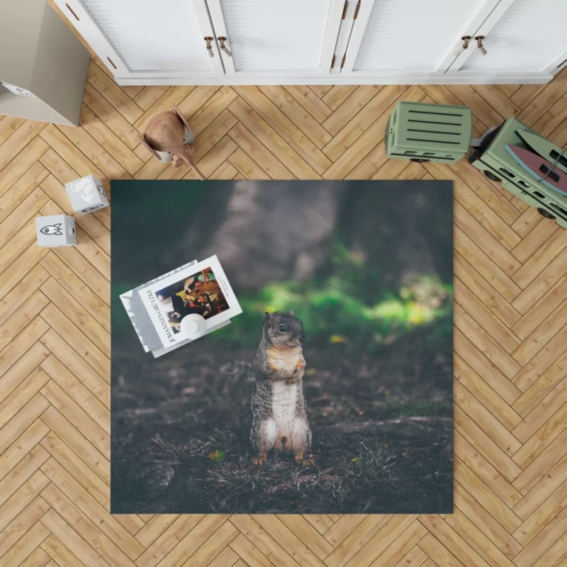 Squirrel Curious Rodent Nature Rug