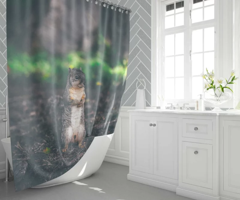 Squirrel Curious Rodent Nature Shower Curtain 1