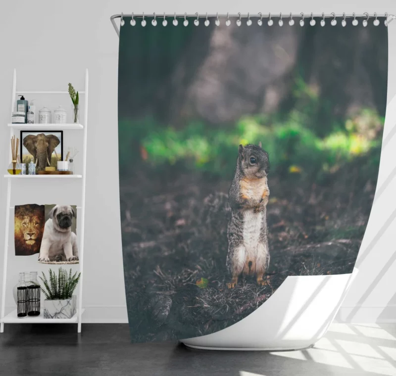 Squirrel Curious Rodent Nature Shower Curtain