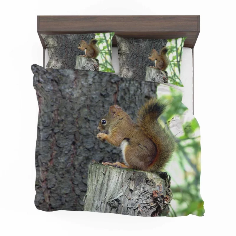 Squirrel Hidden Beauty Nature Gem Bedding Set 1