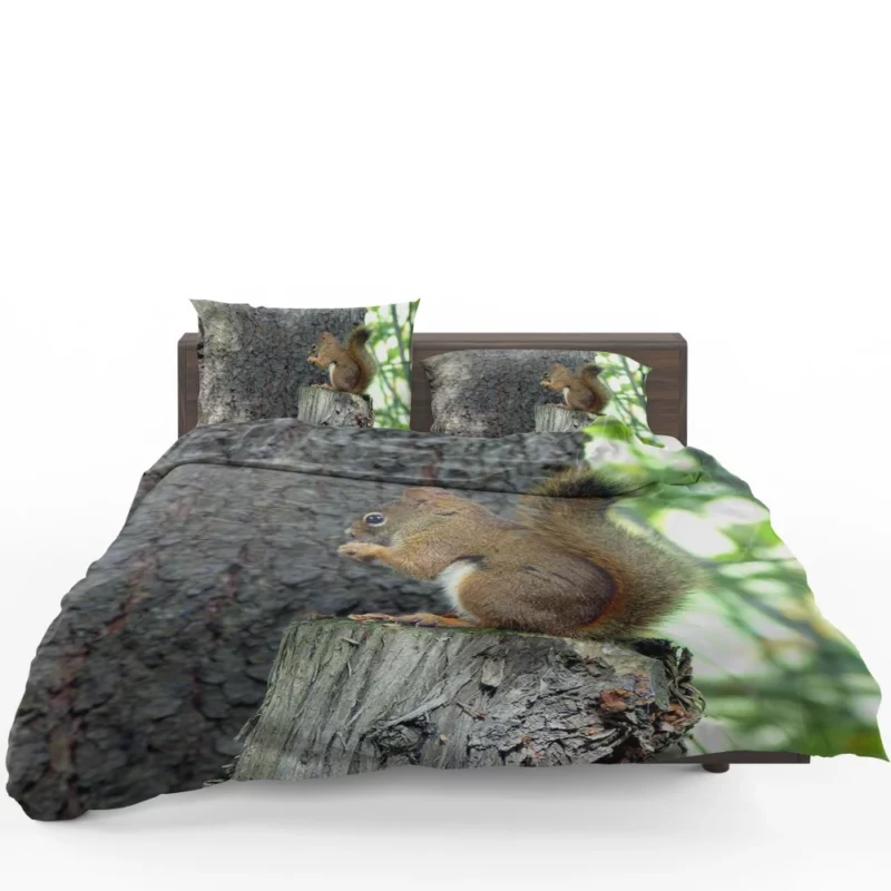 Squirrel Hidden Beauty Nature Gem Bedding Set