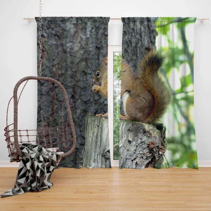 Squirrel Hidden Beauty Nature Gem Curtain