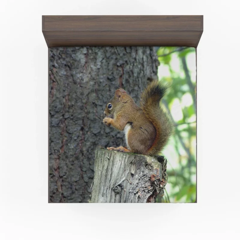 Squirrel Hidden Beauty Nature Gem Fitted Sheet 1