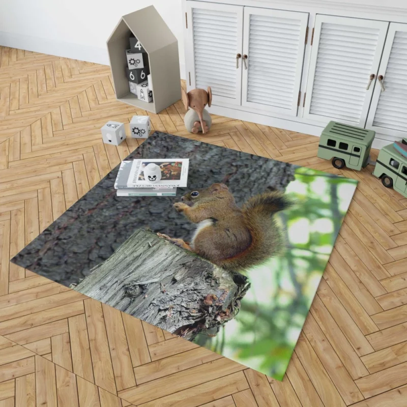 Squirrel Hidden Beauty Nature Gem Rug 1