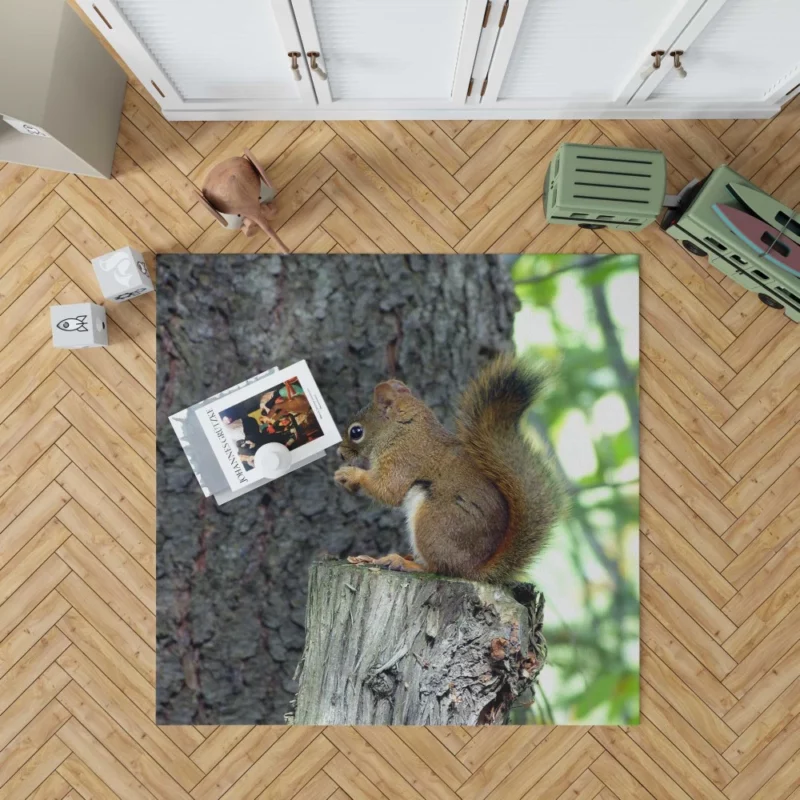 Squirrel Hidden Beauty Nature Gem Rug