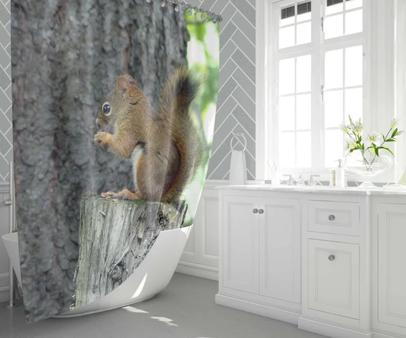 Squirrel Hidden Beauty Nature Gem Shower Curtain 1