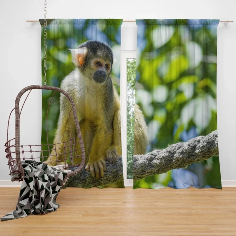 Squirrel Monkey Acrobatic Charm Curtain