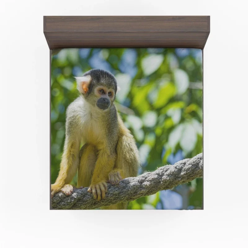 Squirrel Monkey Acrobatic Charm Fitted Sheet 1