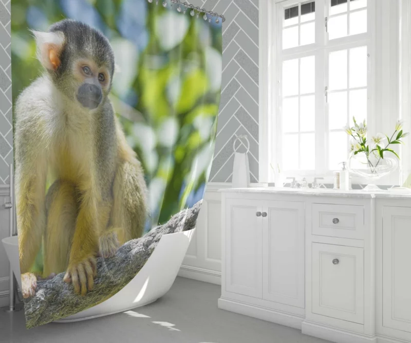 Squirrel Monkey Acrobatic Charm Shower Curtain 1