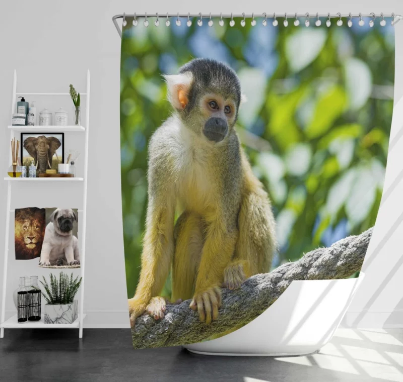 Squirrel Monkey Acrobatic Charm Shower Curtain