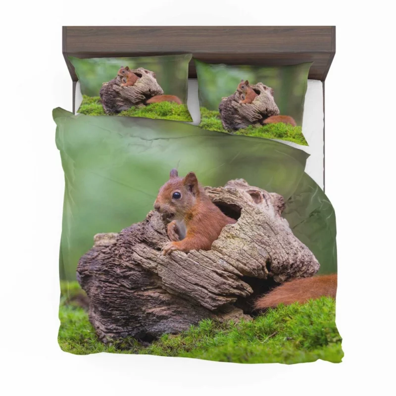 Squirrel Mossy Hideaway Forest Intrigue Bedding Set 1