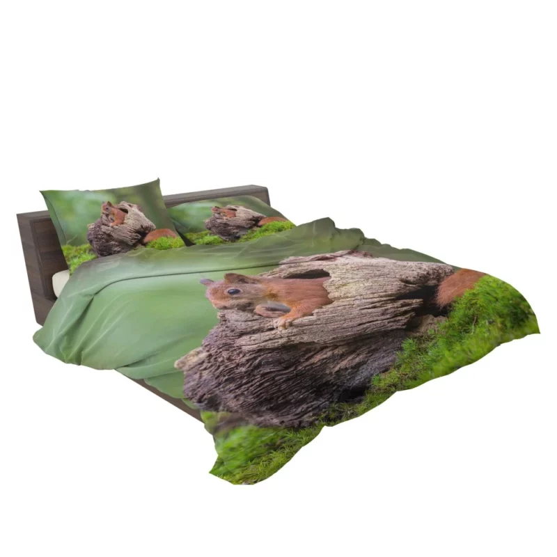 Squirrel Mossy Hideaway Forest Intrigue Bedding Set 2