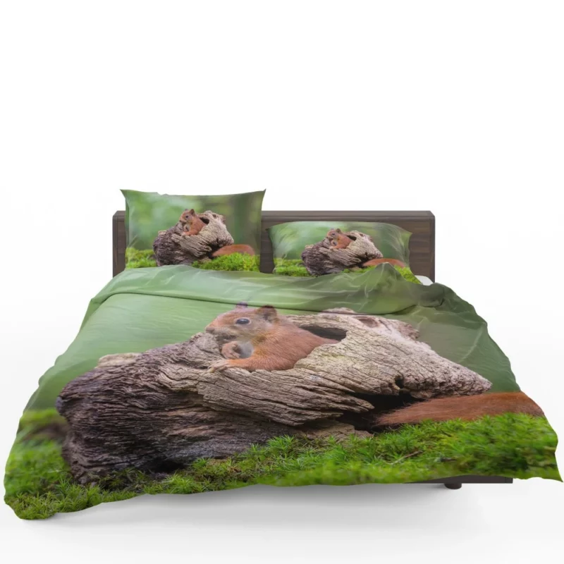 Squirrel Mossy Hideaway Forest Intrigue Bedding Set