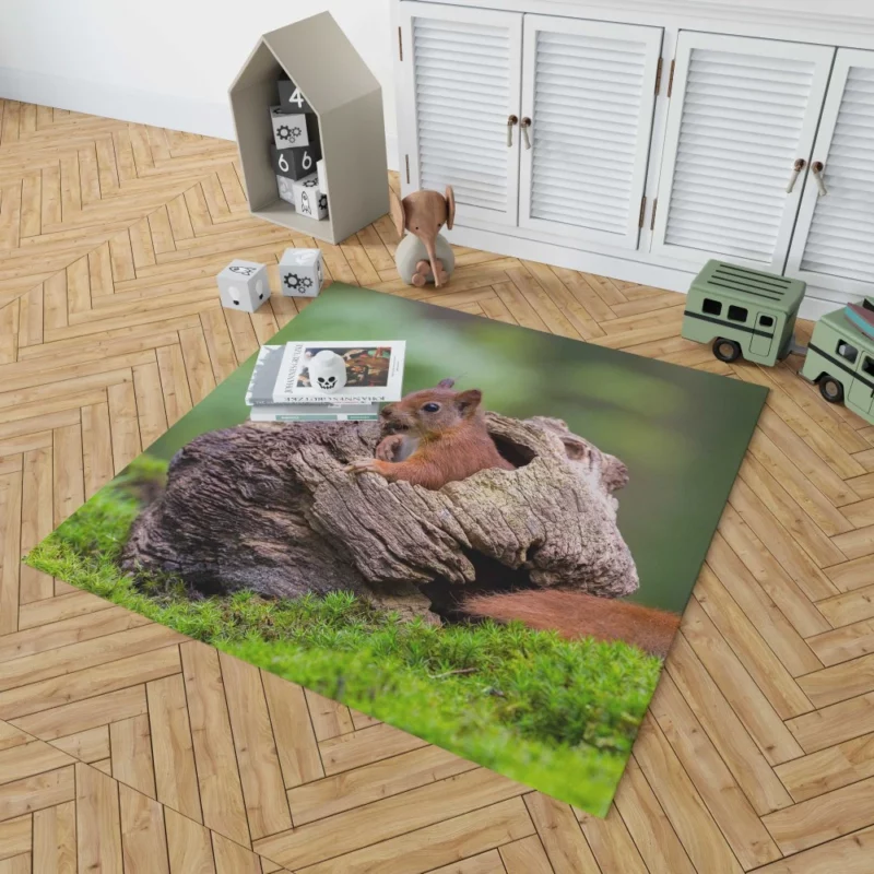 Squirrel Mossy Hideaway Forest Intrigue Rug 1