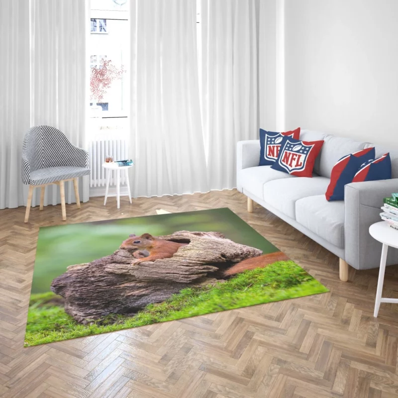 Squirrel Mossy Hideaway Forest Intrigue Rug 2