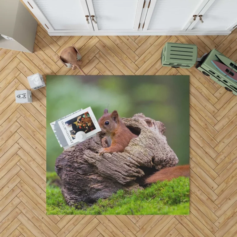 Squirrel Mossy Hideaway Forest Intrigue Rug