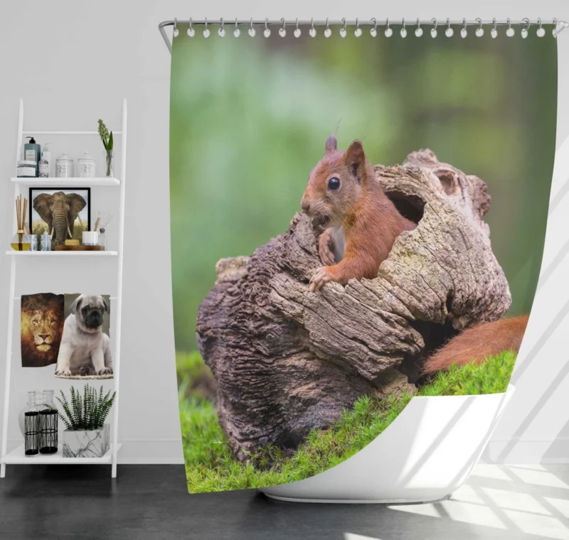 Squirrel Mossy Hideaway Forest Intrigue Shower Curtain