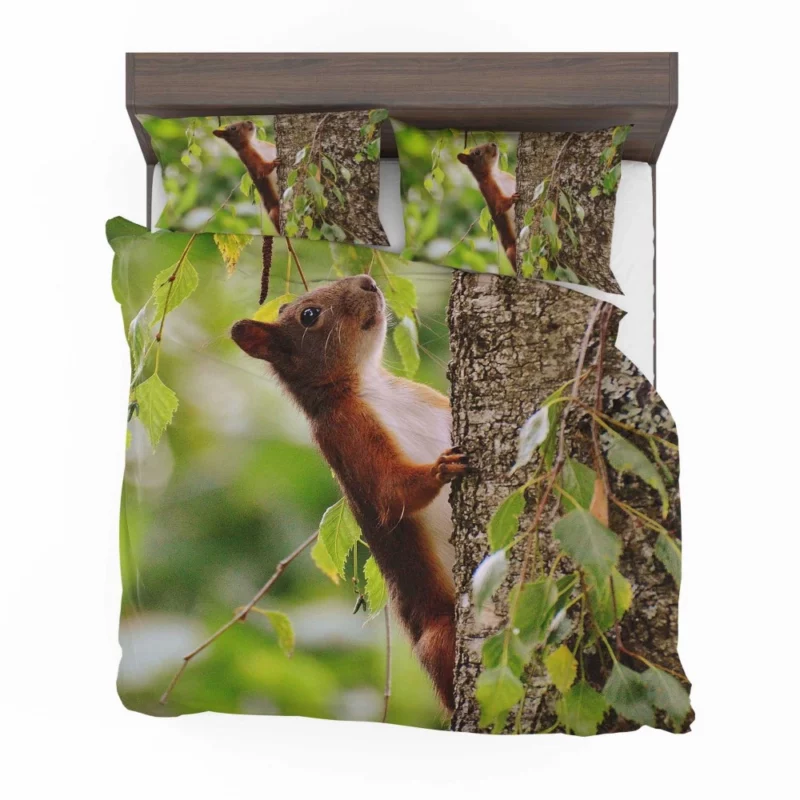 Squirrel Mossy Hideaway Nature Intrigue Bedding Set 1