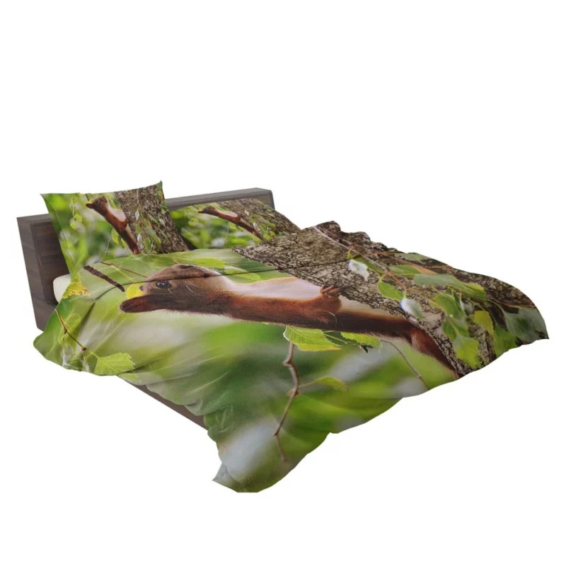 Squirrel Mossy Hideaway Nature Intrigue Bedding Set 2