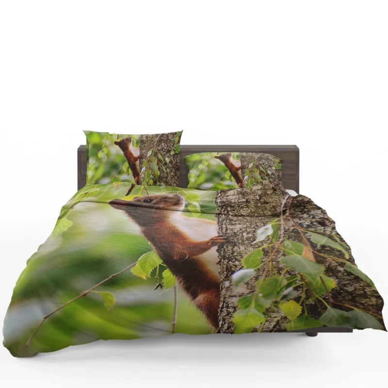 Squirrel Mossy Hideaway Nature Intrigue Bedding Set