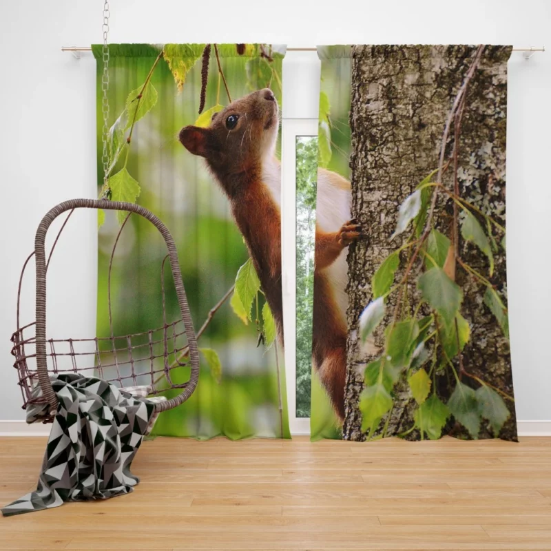 Squirrel Mossy Hideaway Nature Intrigue Curtain