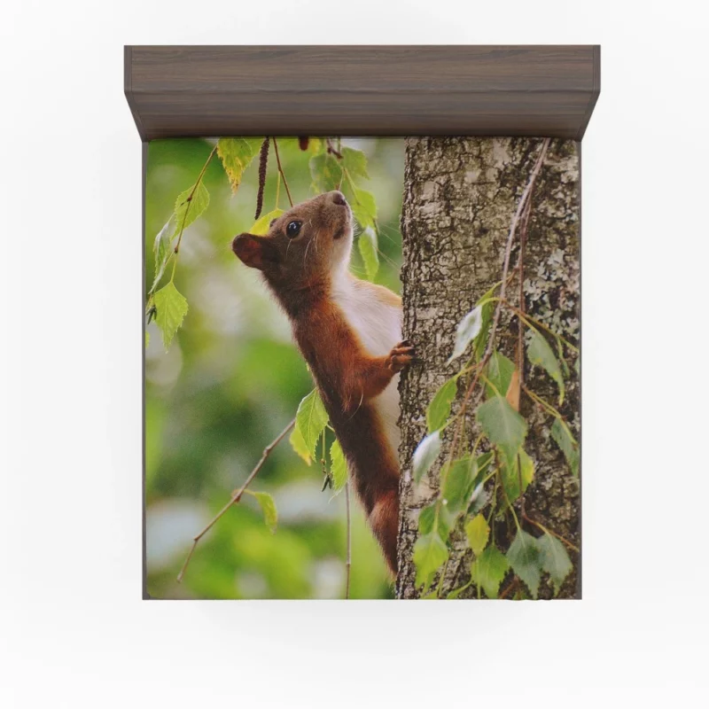 Squirrel Mossy Hideaway Nature Intrigue Fitted Sheet 1