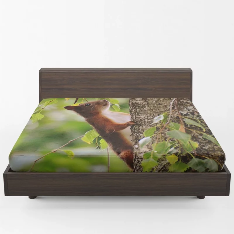 Squirrel Mossy Hideaway Nature Intrigue Fitted Sheet