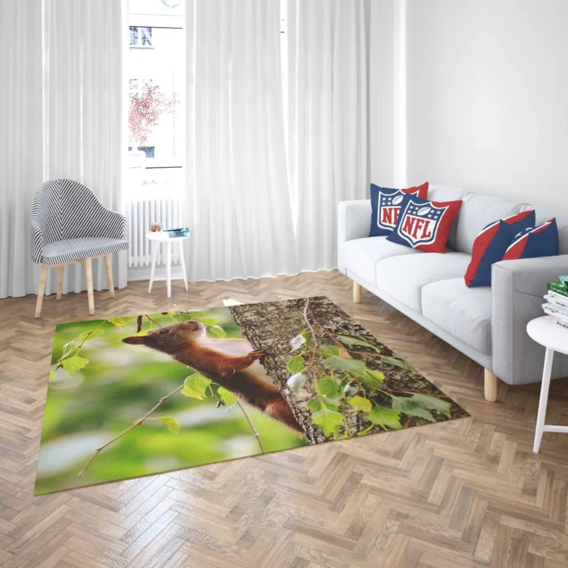 Squirrel Mossy Hideaway Nature Intrigue Rug 2