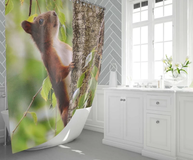 Squirrel Mossy Hideaway Nature Intrigue Shower Curtain 1