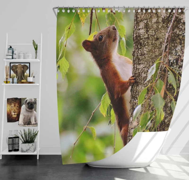 Squirrel Mossy Hideaway Nature Intrigue Shower Curtain