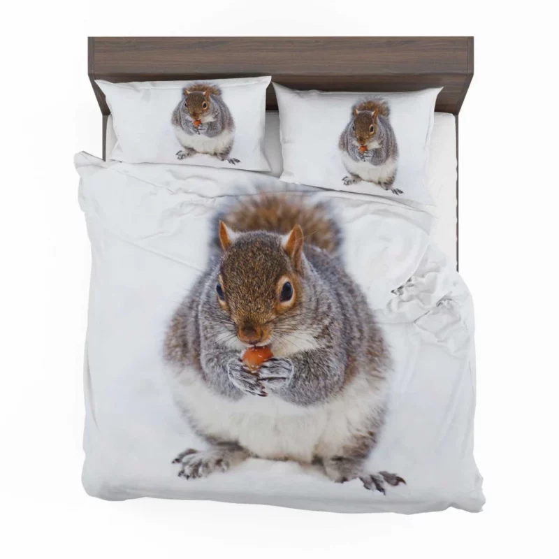 Squirrel Nutty Feast Rodent Antics Bedding Set 1