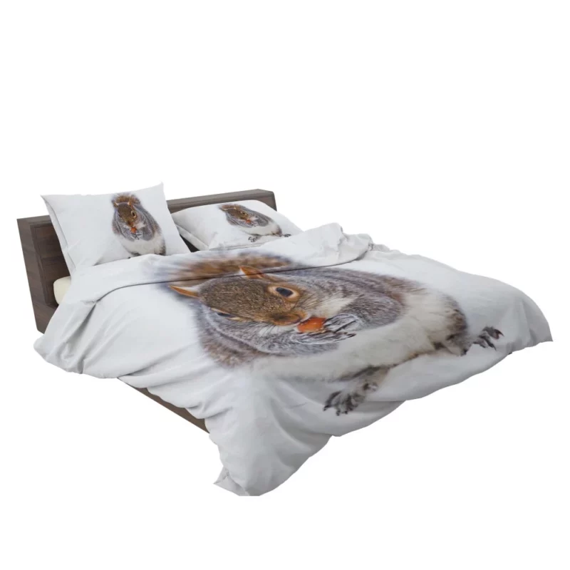 Squirrel Nutty Feast Rodent Antics Bedding Set 2