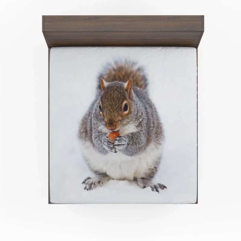 Squirrel Nutty Feast Rodent Antics Fitted Sheet 1