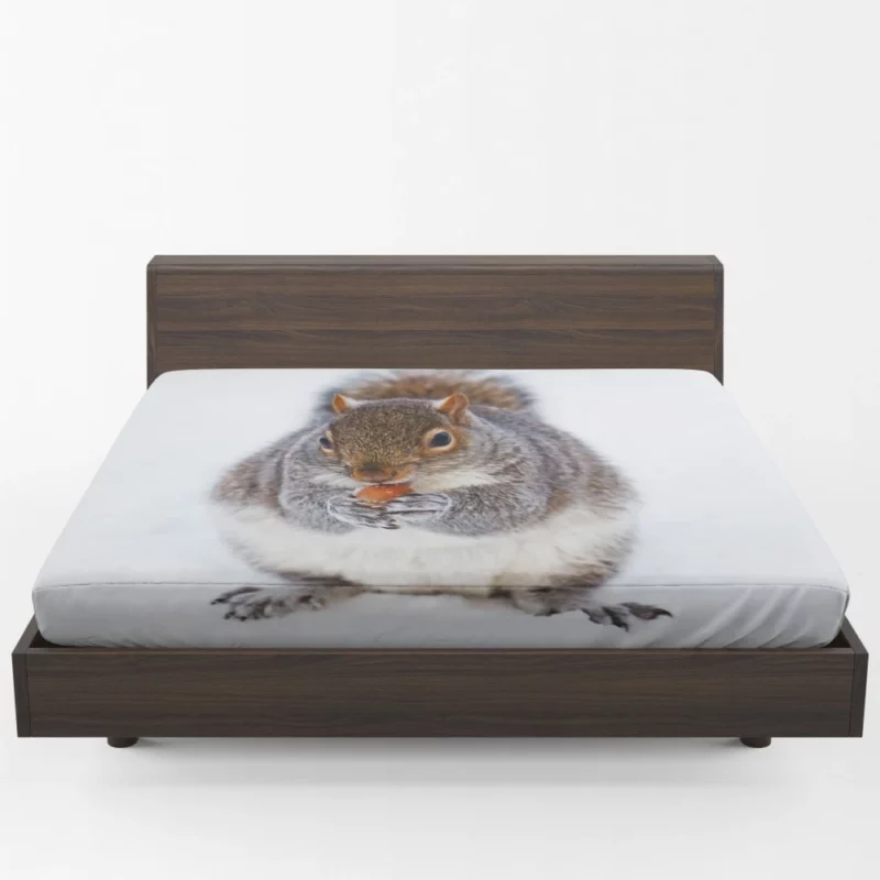 Squirrel Nutty Feast Rodent Antics Fitted Sheet