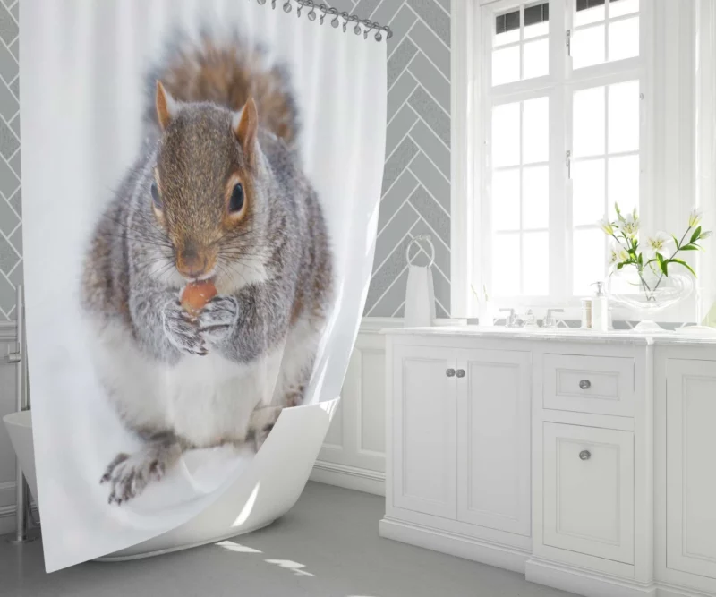 Squirrel Nutty Feast Rodent Antics Shower Curtain 1