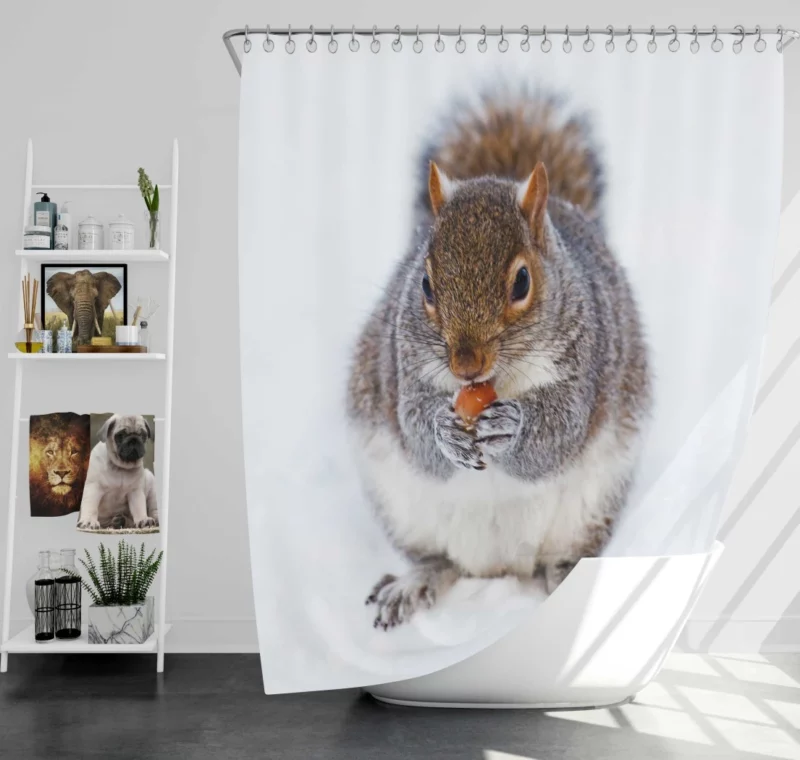 Squirrel Nutty Feast Rodent Antics Shower Curtain