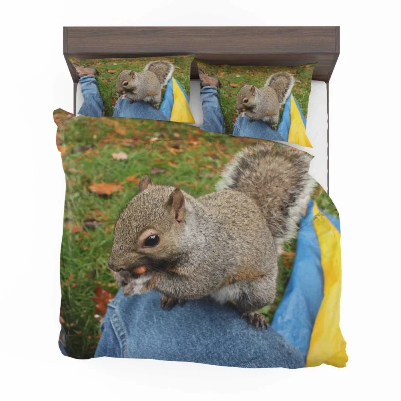 Squirrel Playful Acrobatics Natural Joy Bedding Set 1