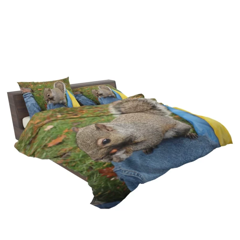 Squirrel Playful Acrobatics Natural Joy Bedding Set 2